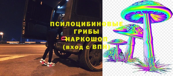 соль курить ск Каменка