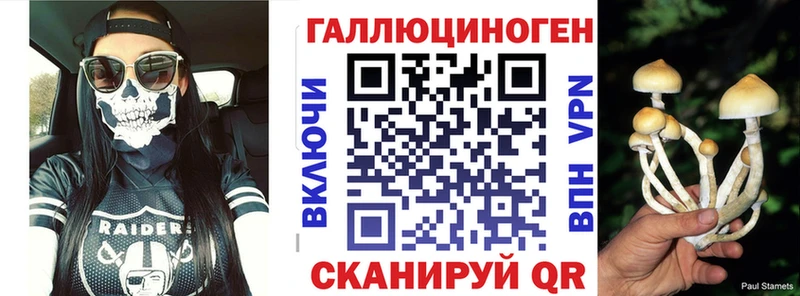 Псилоцибиновые грибы Psilocybe  Купить закладки  Хотьково 